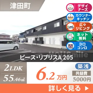 ピース・リブリスA 205