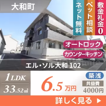 エル・ソル大和 102