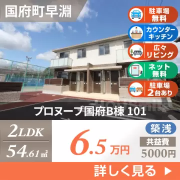 プロヌーブ国府B棟 101