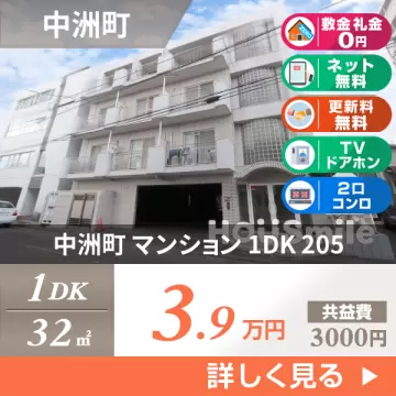 中洲町 マンション 1DK 205