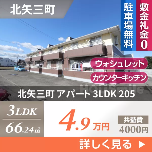 北矢三町 アパート 3LDK 205