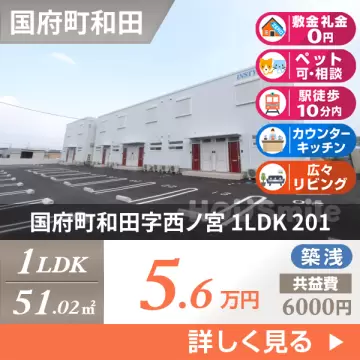 国府町和田字西ノ宮 アパート 1LDK 201