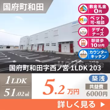 国府町和田字西ノ宮 アパート 1LDK 203