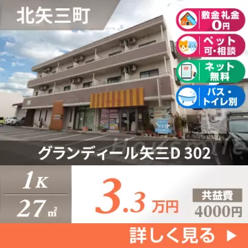 グランディール矢三D 302