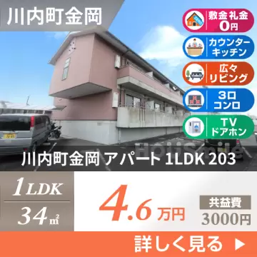 川内町金岡 アパート 1LDK 203