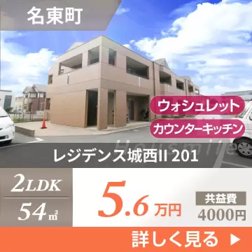 レジデンス城西II 201