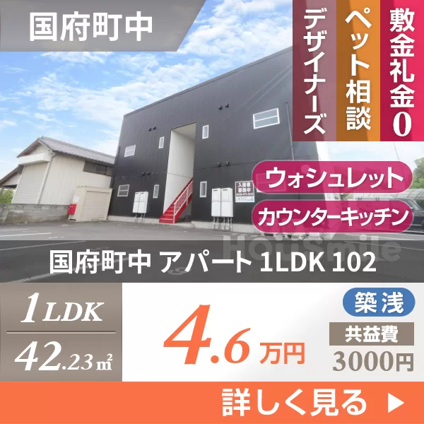 国府町中 アパート 1LDK 102