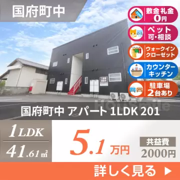 国府町中 アパート 1LDK 201