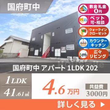 国府町中 アパート 1LDK 202