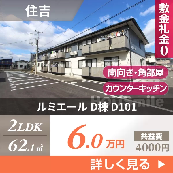ルミエール D棟 D101