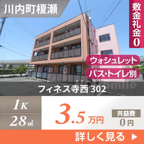 フィネス寺西 302