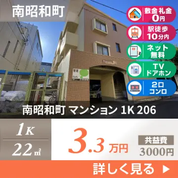 南昭和町 マンション 1K 206