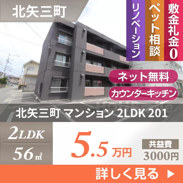 北矢三町 マンション 2LDK 201