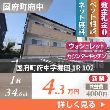 国府町府中字堀田 アパート 1R 102