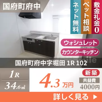 国府町府中字堀田 アパート 1R 102