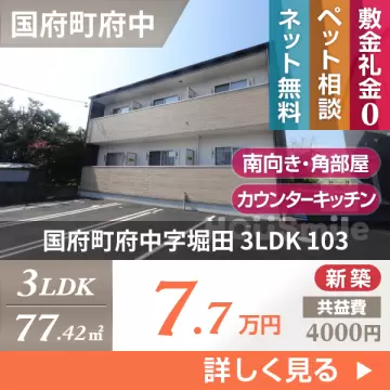国府町府中字堀田 アパート 3LDK 103