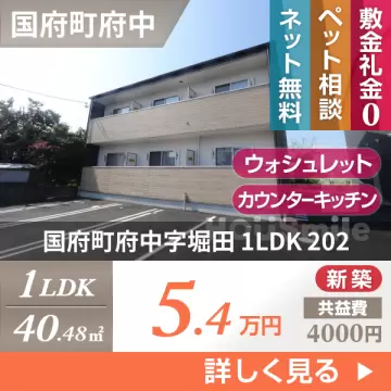 国府町府中字堀田 アパート 1LDK 202