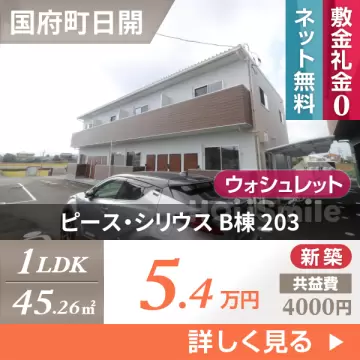 ピース・シリウス B棟 203