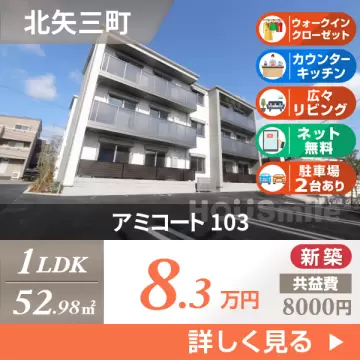 アミコート 103