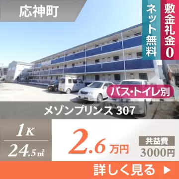 メゾンプリンス 307