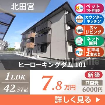 ヒーローキングダム 101