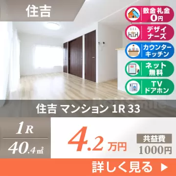 住吉 マンション 1R 33