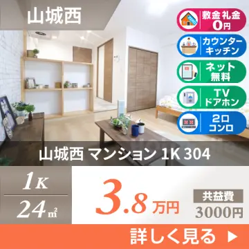 山城西 マンション 1K 304
