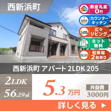 西新浜町 アパート 2LDK 205