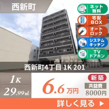 西新町4丁目 マンション 1K 201