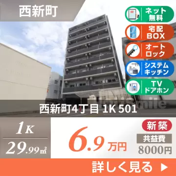 西新町4丁目 マンション 1K 501