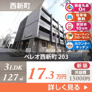 ベレオ西新町 203