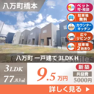 八万町 一戸建て 3LDK H