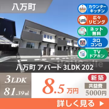 八万町 アパート 3LDK 202