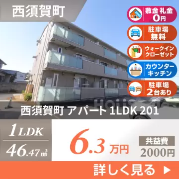 西須賀町 アパート 1LDK 201