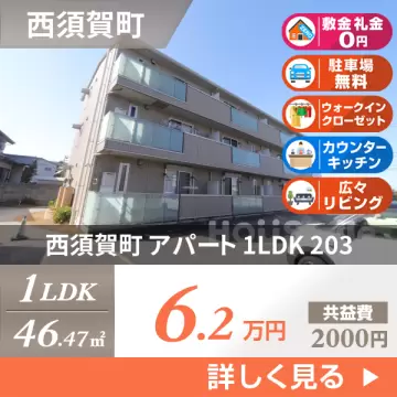 西須賀町 アパート 1LDK 203