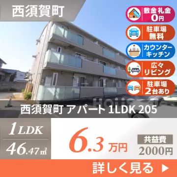 西須賀町 アパート 1LDK 205