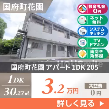 国府町花園 アパート 1DK 205