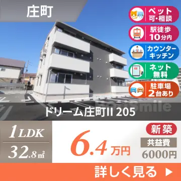 ドリーム庄町II 205