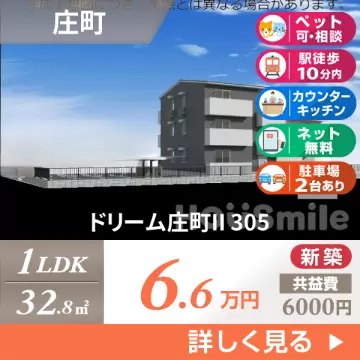 ドリーム庄町II 305