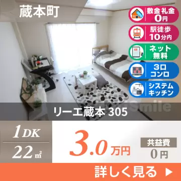 リーエ蔵本 305