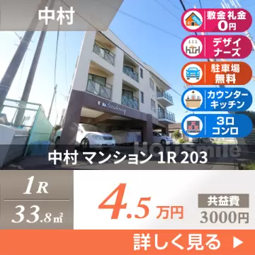中村 マンション 1R 203