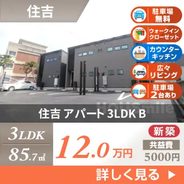 住吉 アパート 3LDK B