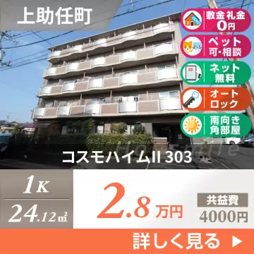 コスモハイムII 303