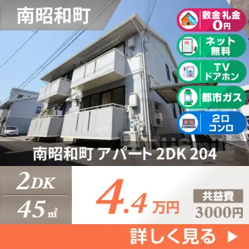 南昭和町 アパート 2DK 204
