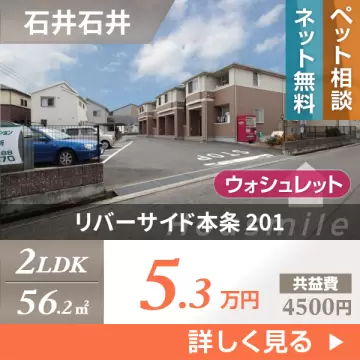 リバーサイド本条 201