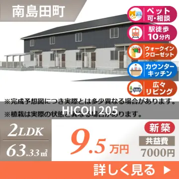 HICOII 205