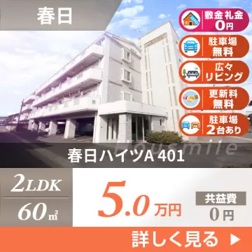 春日ハイツA 401