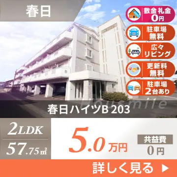 春日ハイツB 203