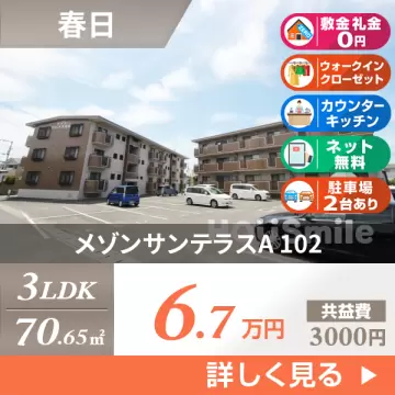 メゾンサンテラスA 102