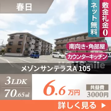 メゾンサンテラスA 105
